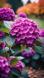 Purple Autumn Hydrangea Aesthetic Background