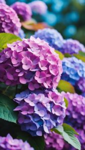 Purple Autumn Hydrangea Aesthetic Background